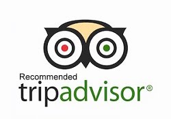 Recommended TripAdvisor