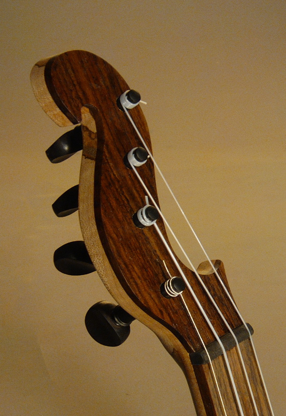 Deep Creek Strings Handcrafted Banjos Custom Built by Jeff Delfield