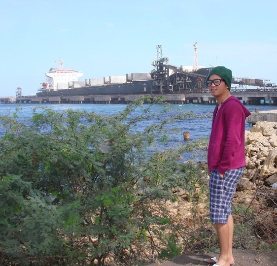 What brought me to SEMIRARA ISLAND COAL PRODUCER of the Philippines