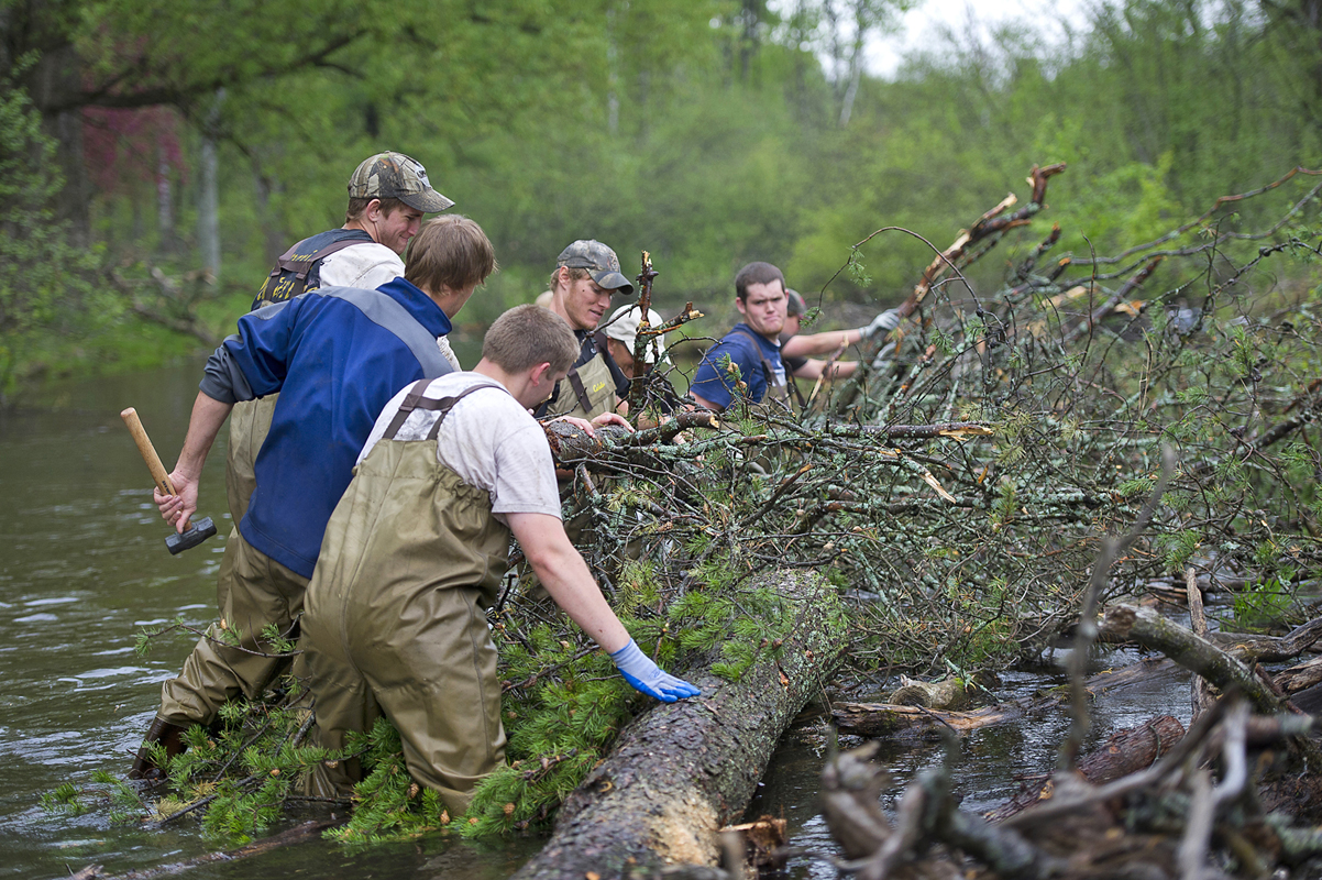 Michigan DNR Improving habitat on the Au Sable River's North Branch