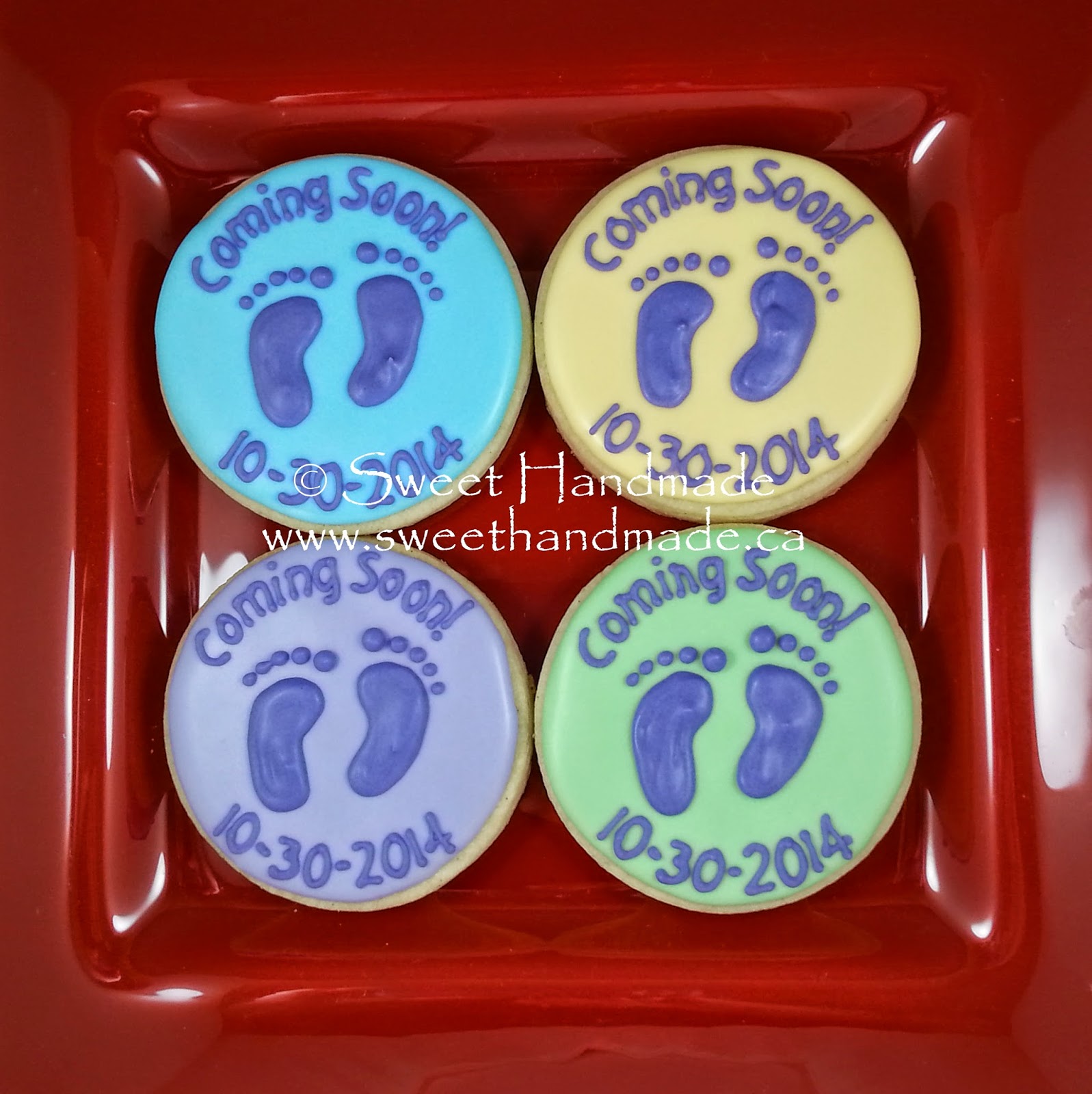 Sweet Handmade Cookies Baby Announcement Cookies