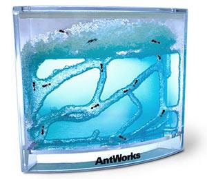 http://4.bp.blogspot.com/-fbTem-9gNDU/TZO-l8lPbSI/AAAAAAAAGJE/l7LRYf9Fj24/s1600/Antworks.jpg