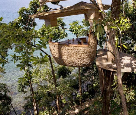tree-top dining restaurant tree-top dining restaurant