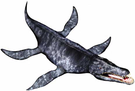 animales prehistoricos acuaticos animales prehistoricos acuaticos