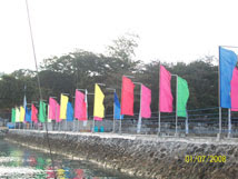 bluejaz resort samal