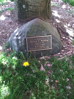 jannah allah grant firdaus tul sister wahhaj thoughts family