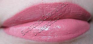  Swatches Cosmetics Свотчи Косметики Губная помада для губ Lipstick Pupa №102