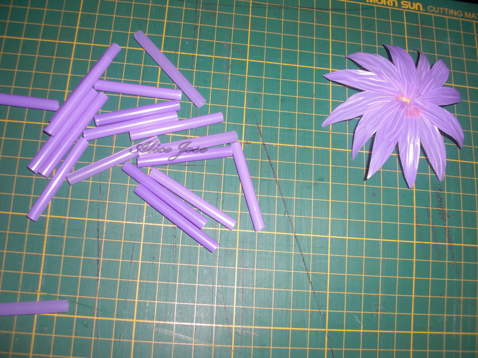 Creative Art and Craft Straw Flowers