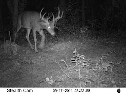 Trail Cam