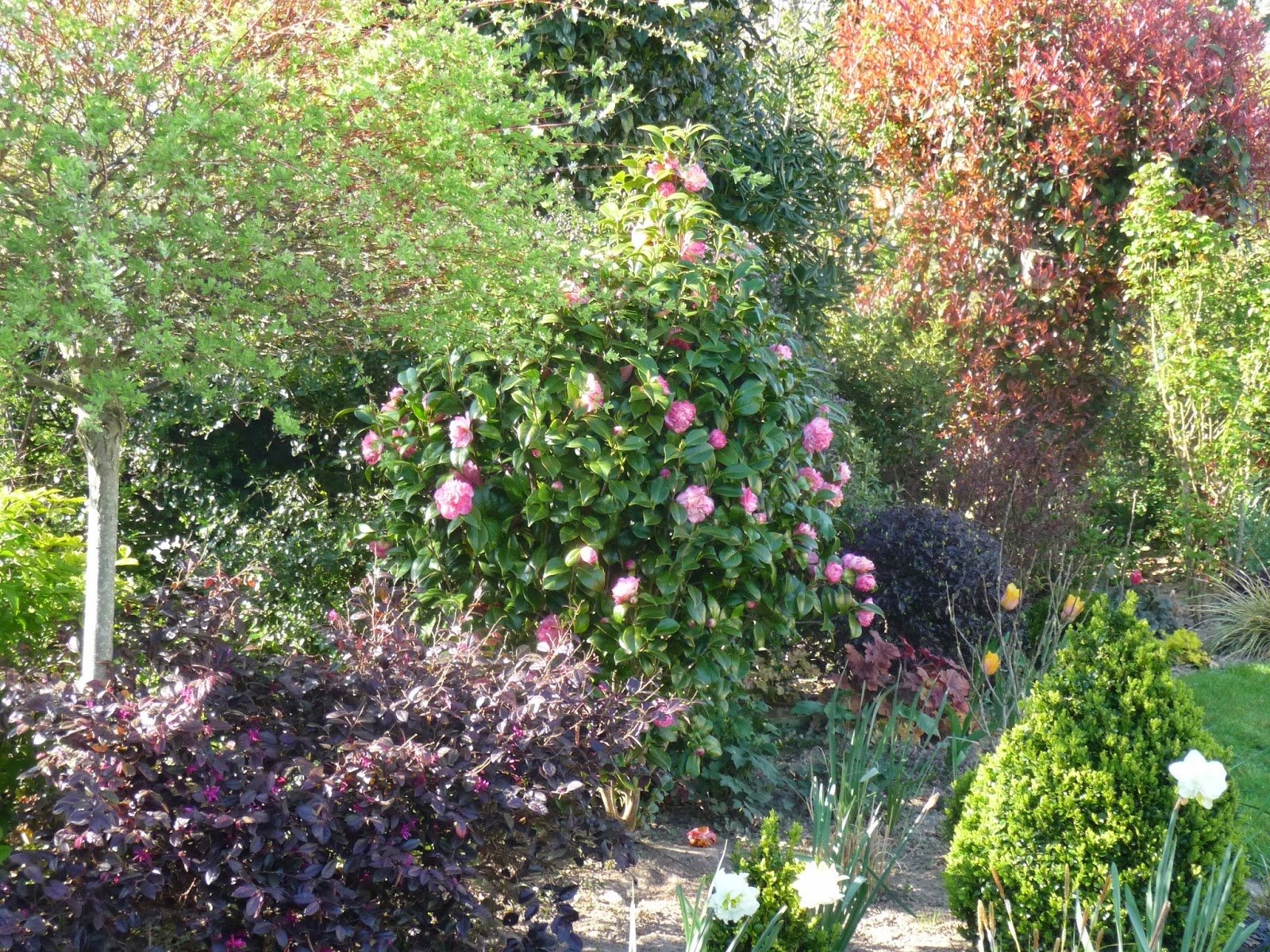 Le Jardin De Pascaline Septembre 2011