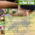 Home Remedies for Bug Bites | Genius Ways To Relieve Bug Bites
