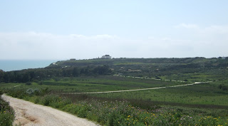 Akropolis von Selinunt. In der Mulde davor befand sich einst ein Hafenbecken der Stadt Akropolis von Selinunt. In der Mulde davor befand sich einst ein Hafenbecken der Stadt