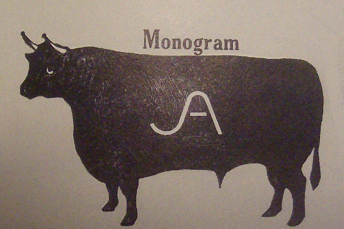 Born To Fly Branding The West