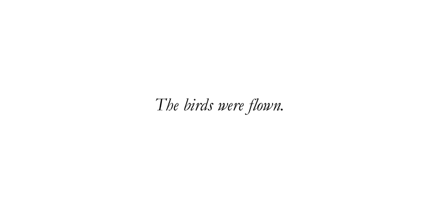 the birds were flown.