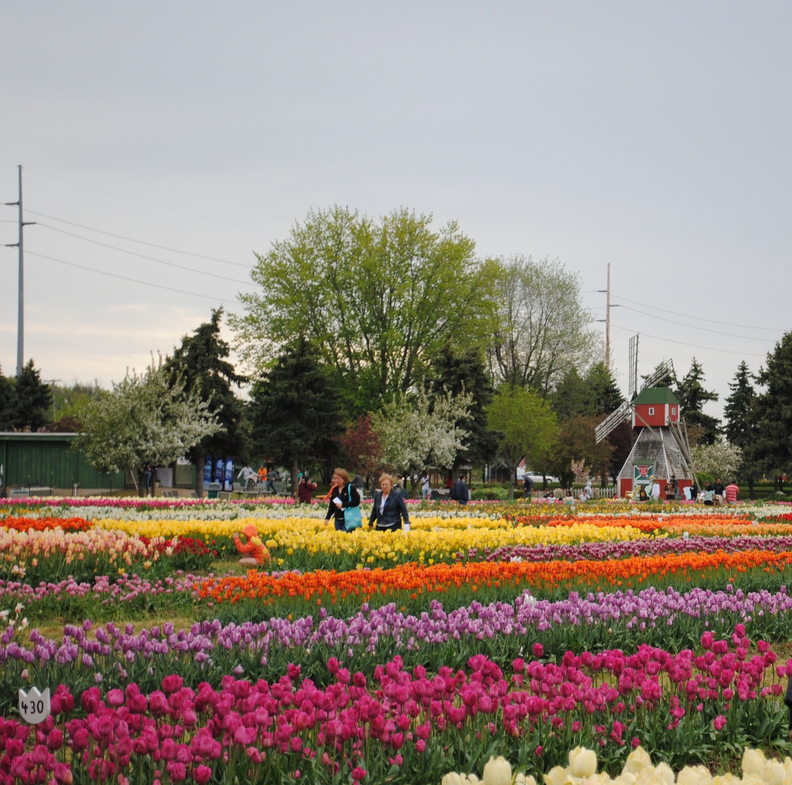 Man Man tour. How to Visit Holland, Michigan.