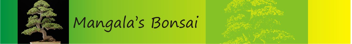 Mangala's Bonsai