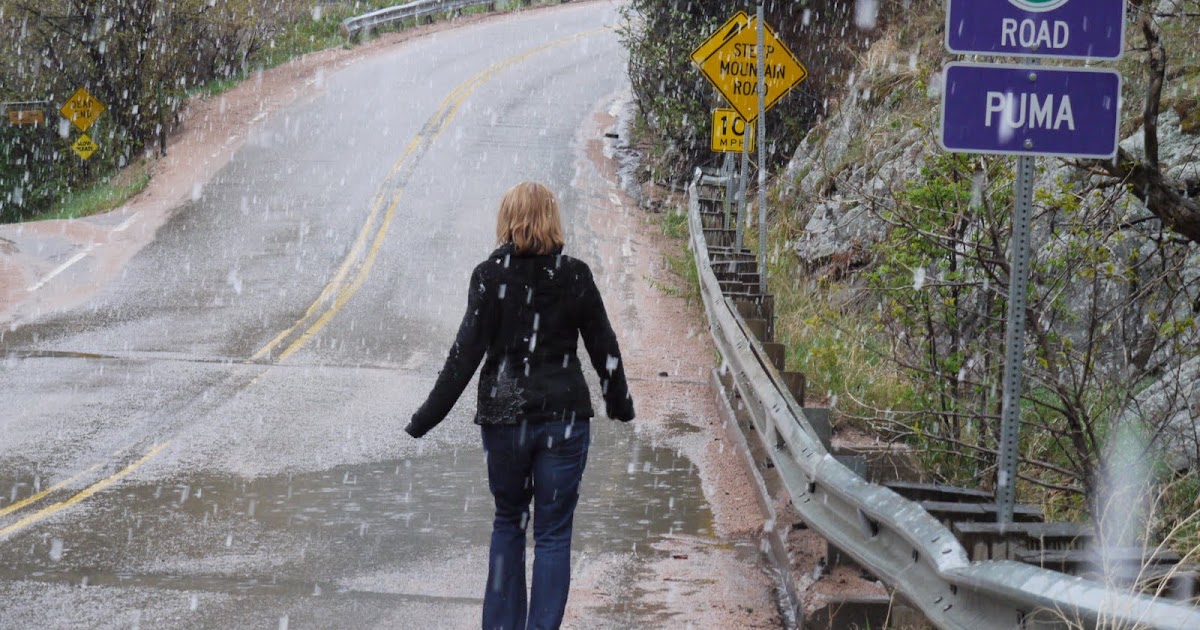 BQ by 40 Boulder Classic Run 2 Magnolia Road