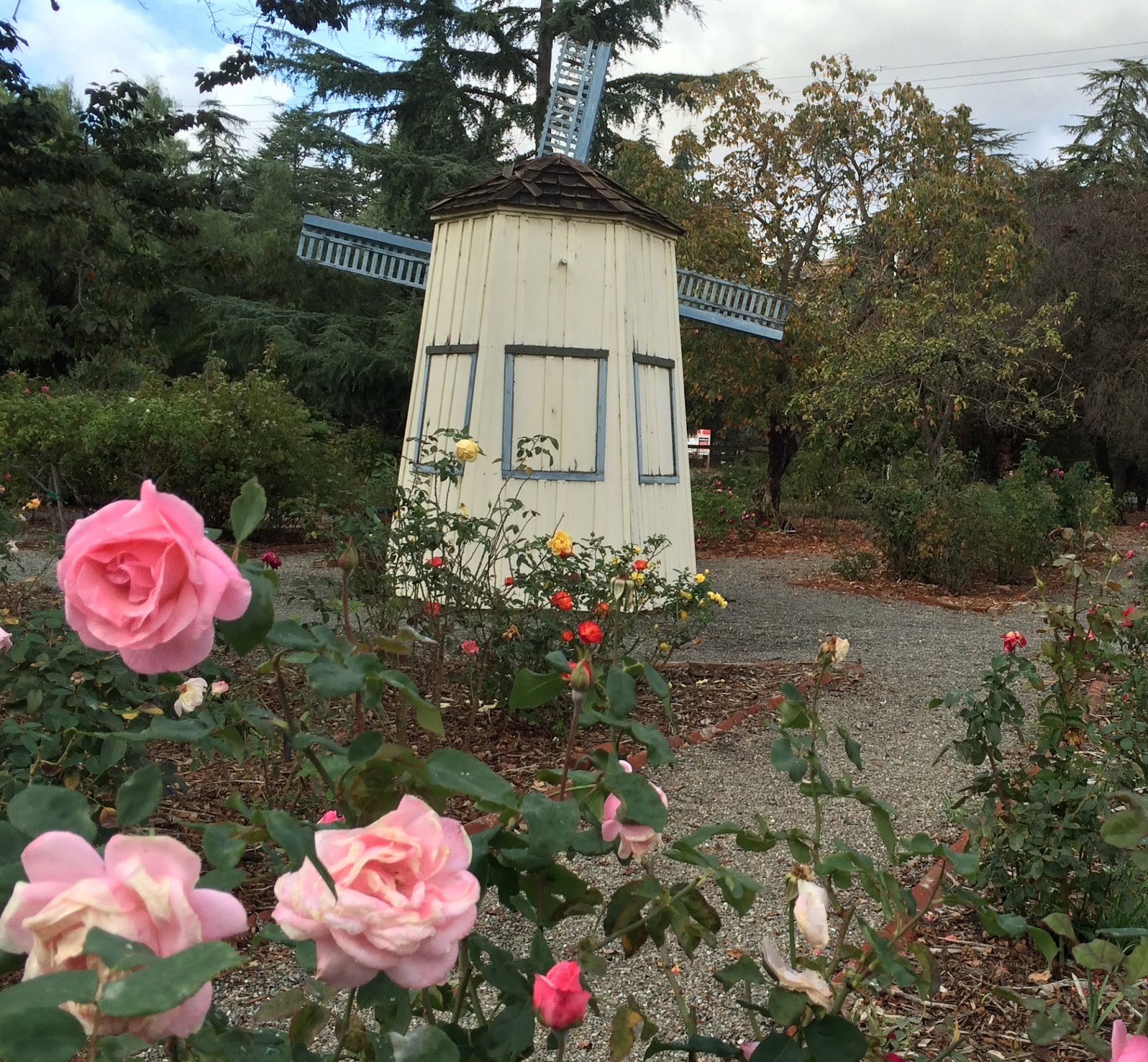 The Illustrated Plant Nut Visiting Niles and the California Nursery