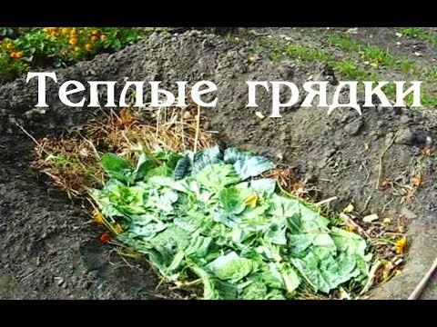 Тёплая грядка осенью в теплице видео Тёплая грядка осенью в теплице видео