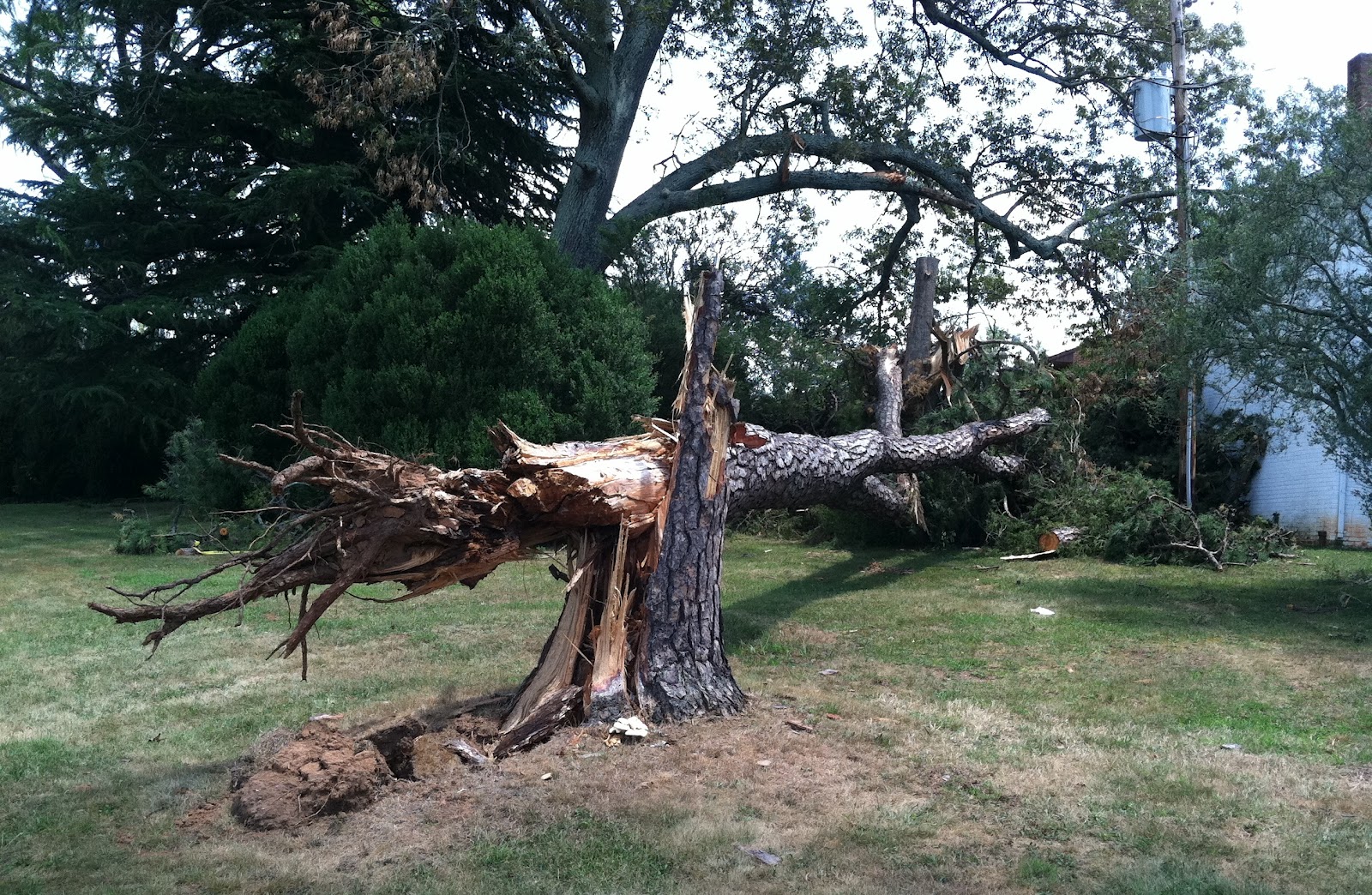 __Chicks Dig Poetry__ Cleaving