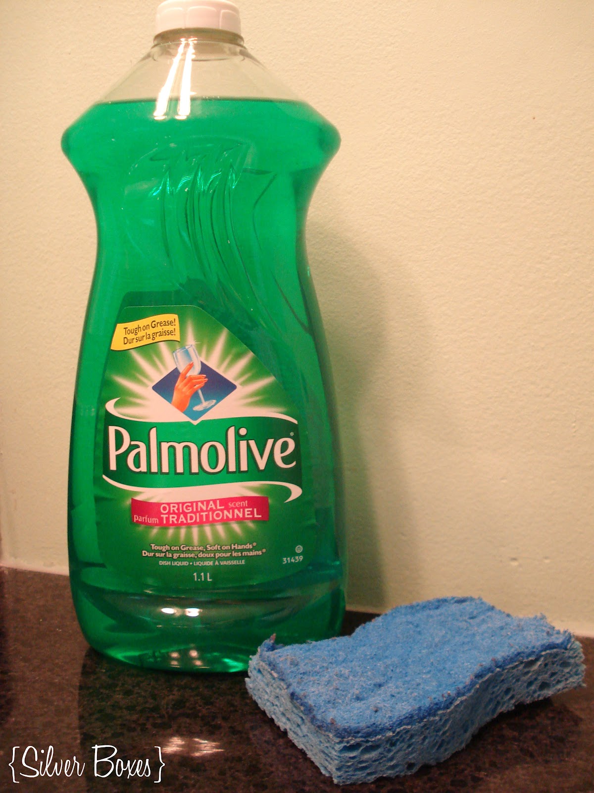 Silver Boxes The Dish Soap Challenge. Week Two The Toilet