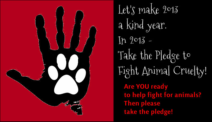 PLEDGE to make 2013 a kind year for Animals.
