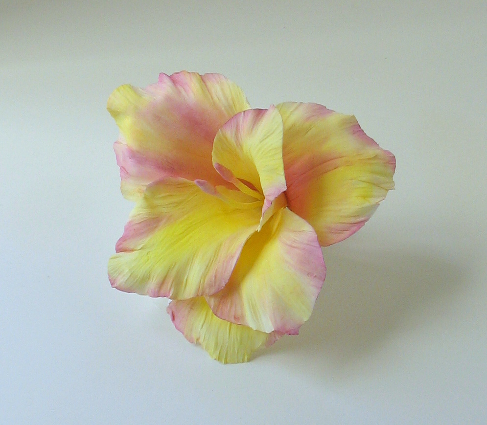 Shaile's Edible Art The Beautiful Gladiola