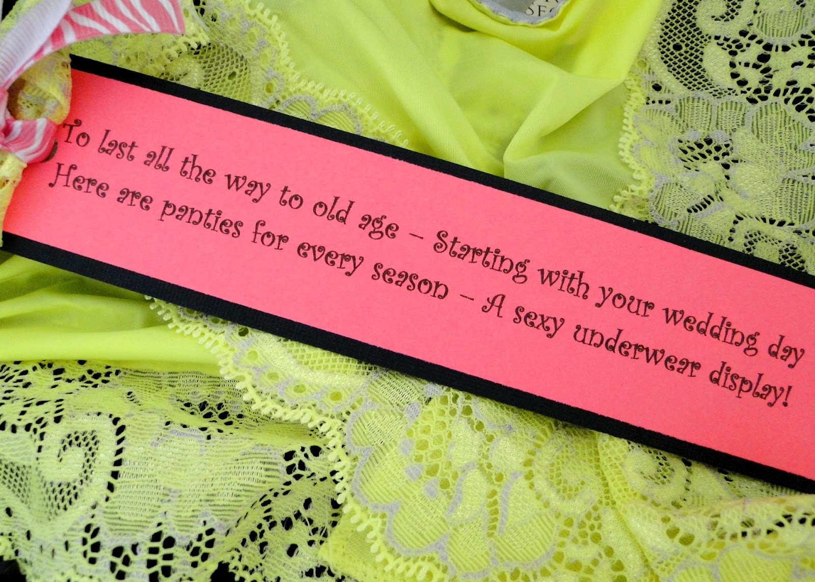 Tricks of the Mommy Trade Panty Poem