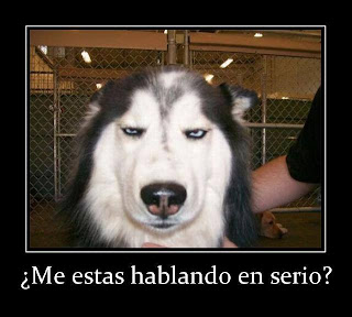 Frases Con Imagenes: Imagenes Para Comentarios del Facebook 2013