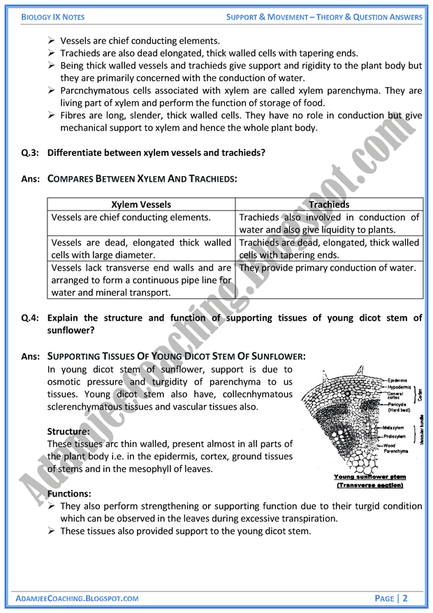 support-and-movement-theory-notes-and-question-answers-biology-notes-for-class-9th