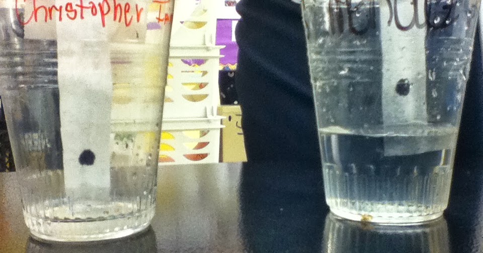 Paper Chromatography Lab 1