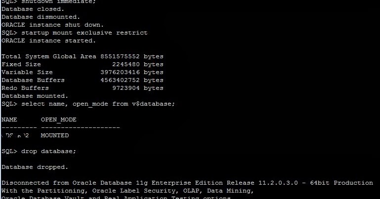 How to Use Drop Database Command in Oracle 11gR2?