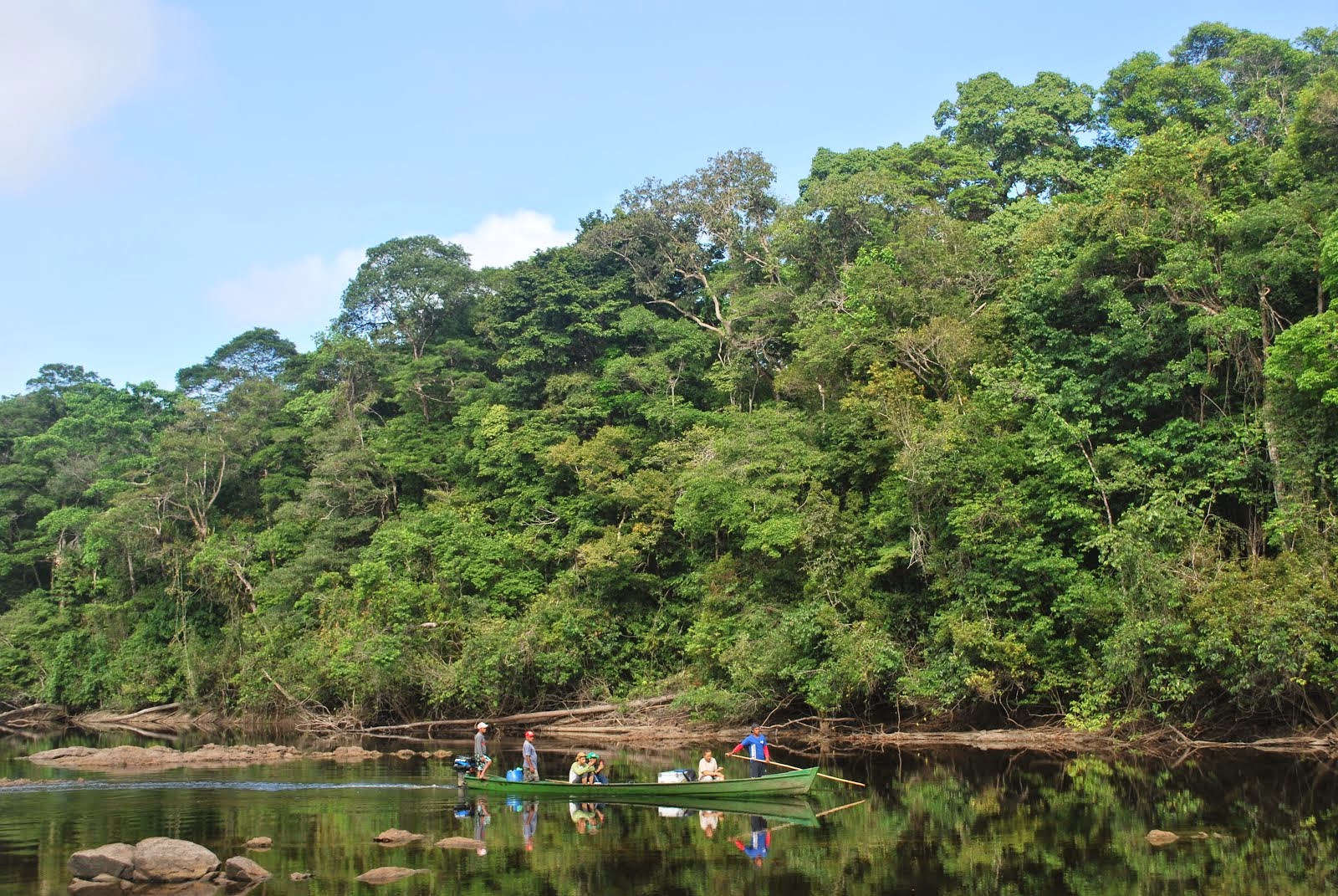 FLONA do Amapá