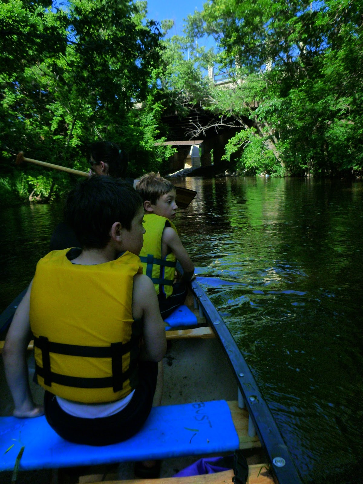 " FULL ON " Minnehaha Creek Canoe Ride