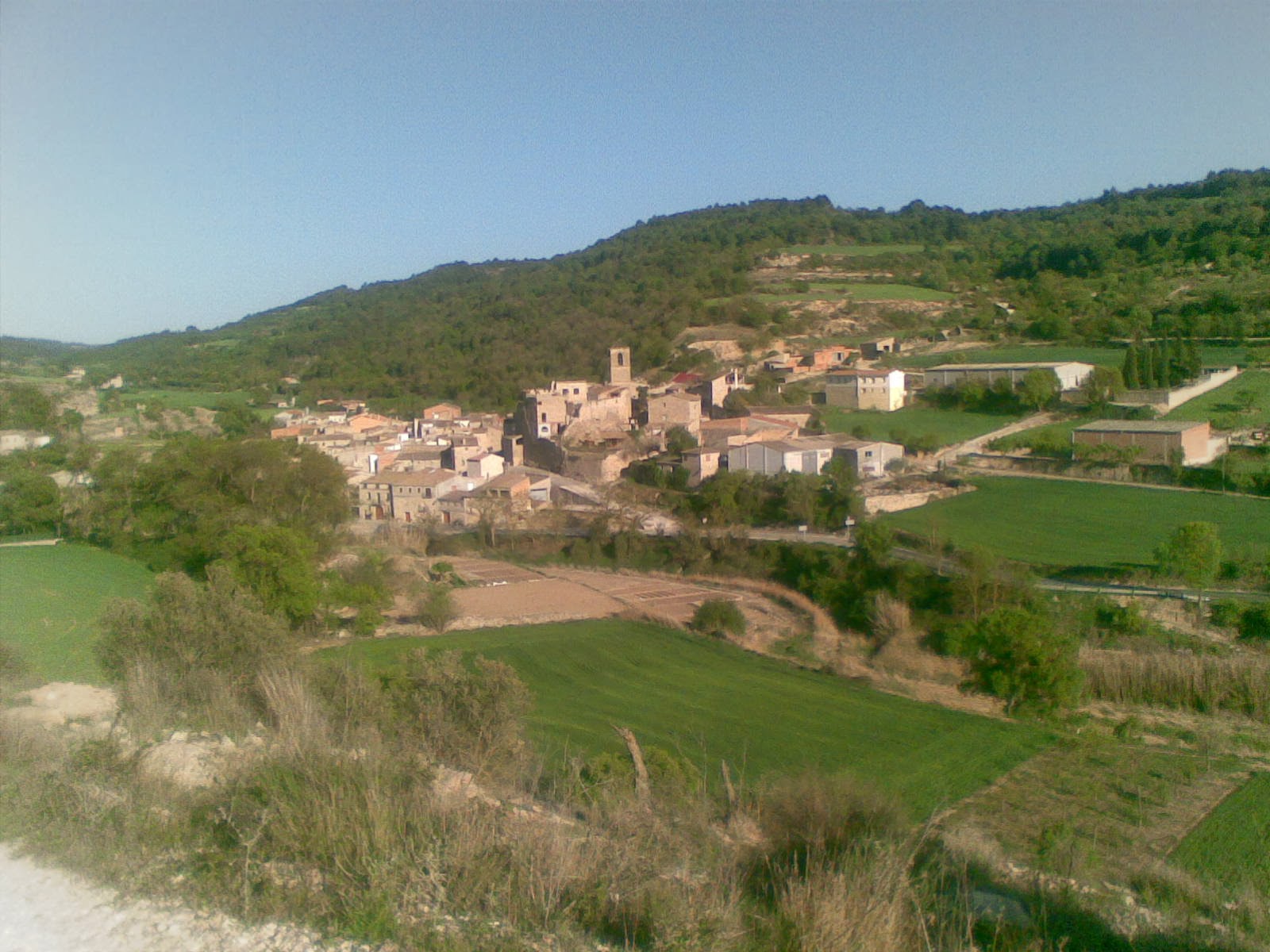 Valfogona