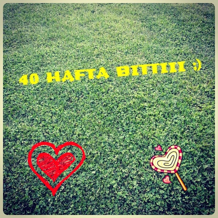 2 Balık 1 Kedi 40.hafta / 2.perde