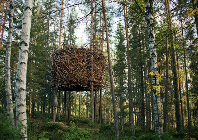 The Bird Nest, un hotel nido entre los árboles 