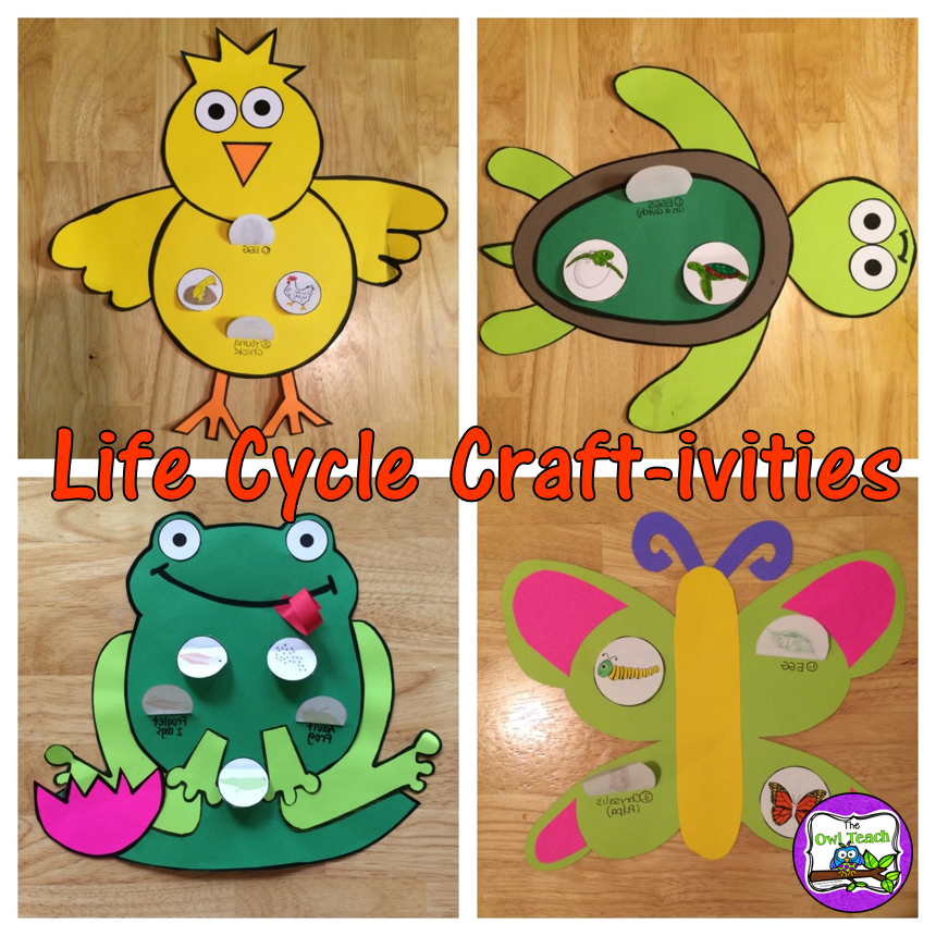 The Owl Teach Love for Life Cycles