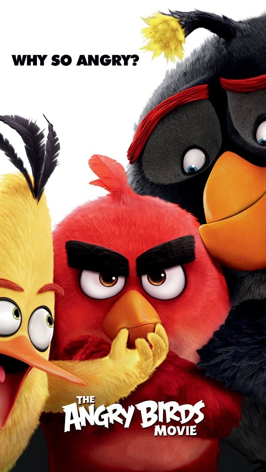 Angry Birds Movie Poster Android Wallpaper