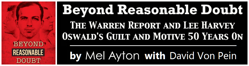 Beyond-Reasonable-Doubt-Banner-Ad-11.png