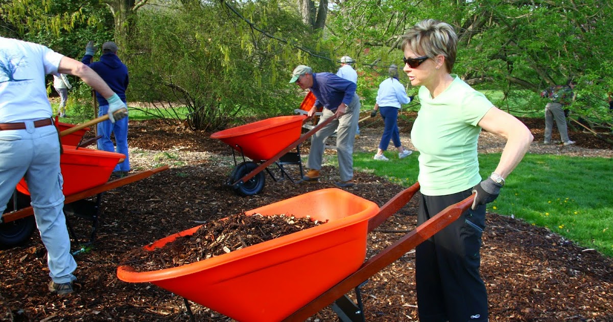 Morris Arboretum: Mulch Matters