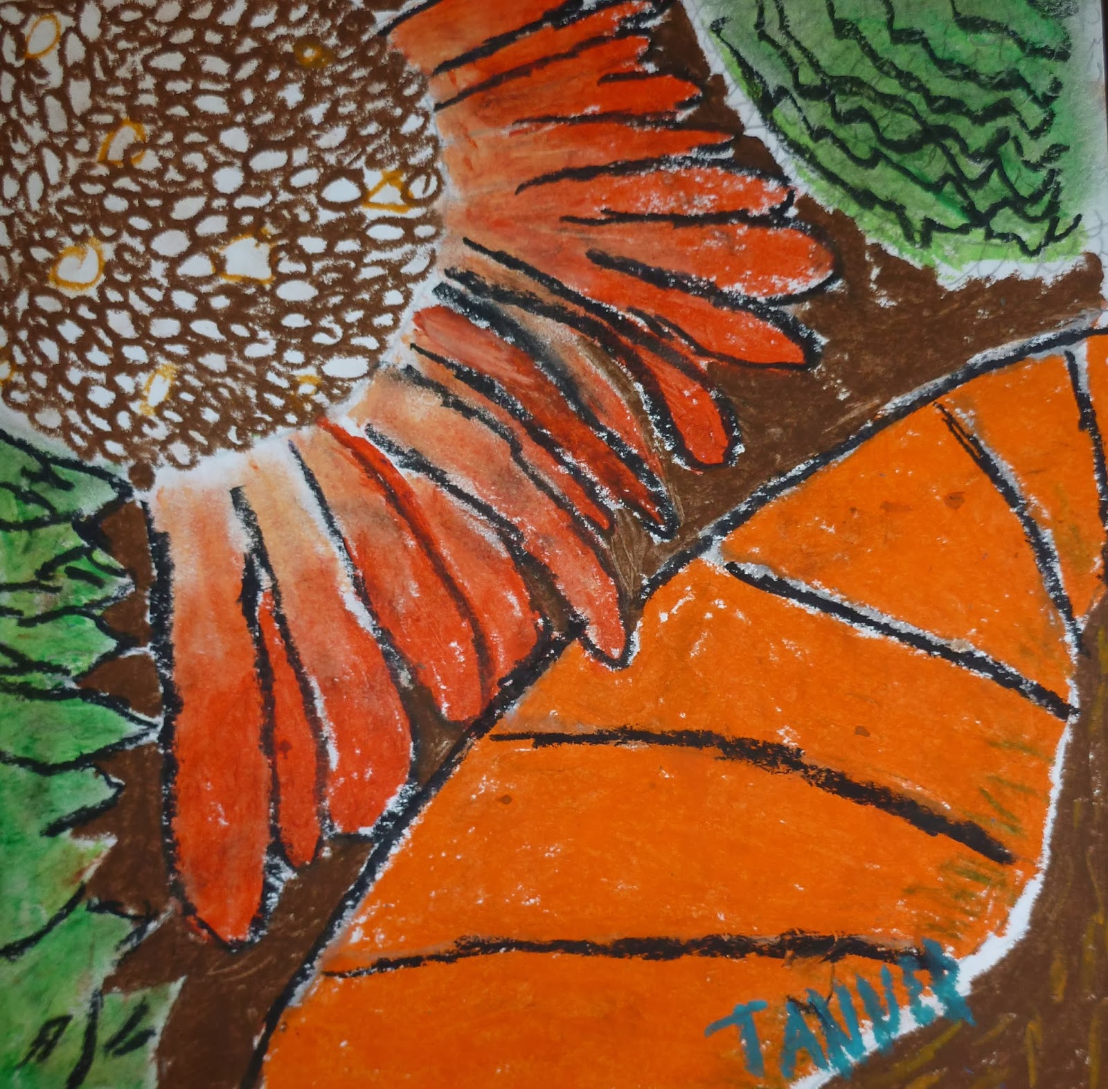 P. C. K. Art Room SIXTH GRADE Oil Pastel O'Keefe Flowers