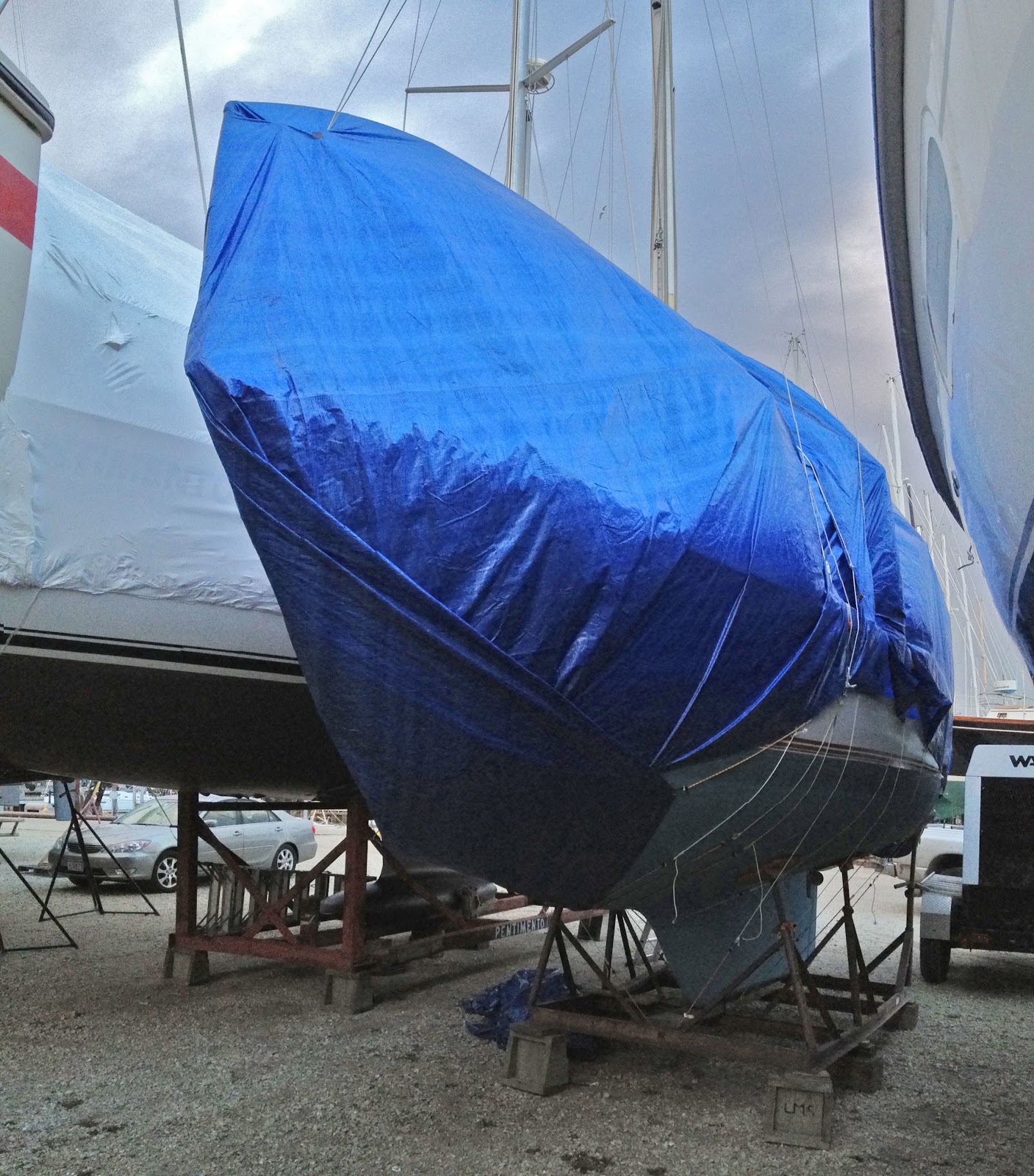 Thanks Dad! Tarping the boat for winter