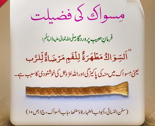 excellence etiquettes advantages of miswak Furthermore, asmustahabs and etiquettes are a ‘type’ o f sunnat, therefore, nopains have been taken in differentiating between these and bothhave been classified. excellence etiquettes advantages of miswak Furthermore, asmustahabs and etiquettes are a ‘type’ o f sunnat, therefore, nopains have been taken in differentiating between these and bothhave been classified.
