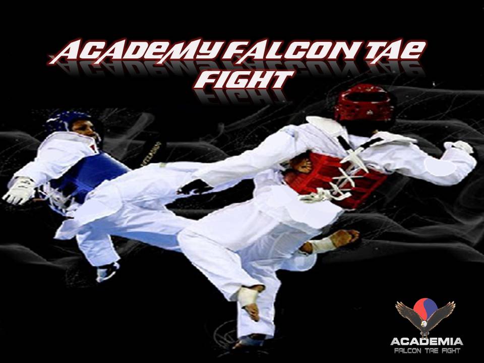 Academy Falcon Tae Fight