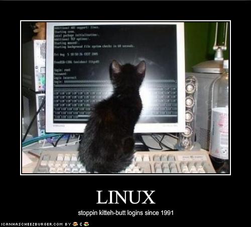 funny-pictures-your-kitten-uses-linux.jpg