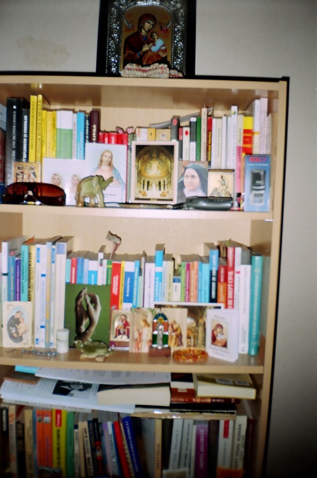 Olivia Maria Marcov's book-shelves
