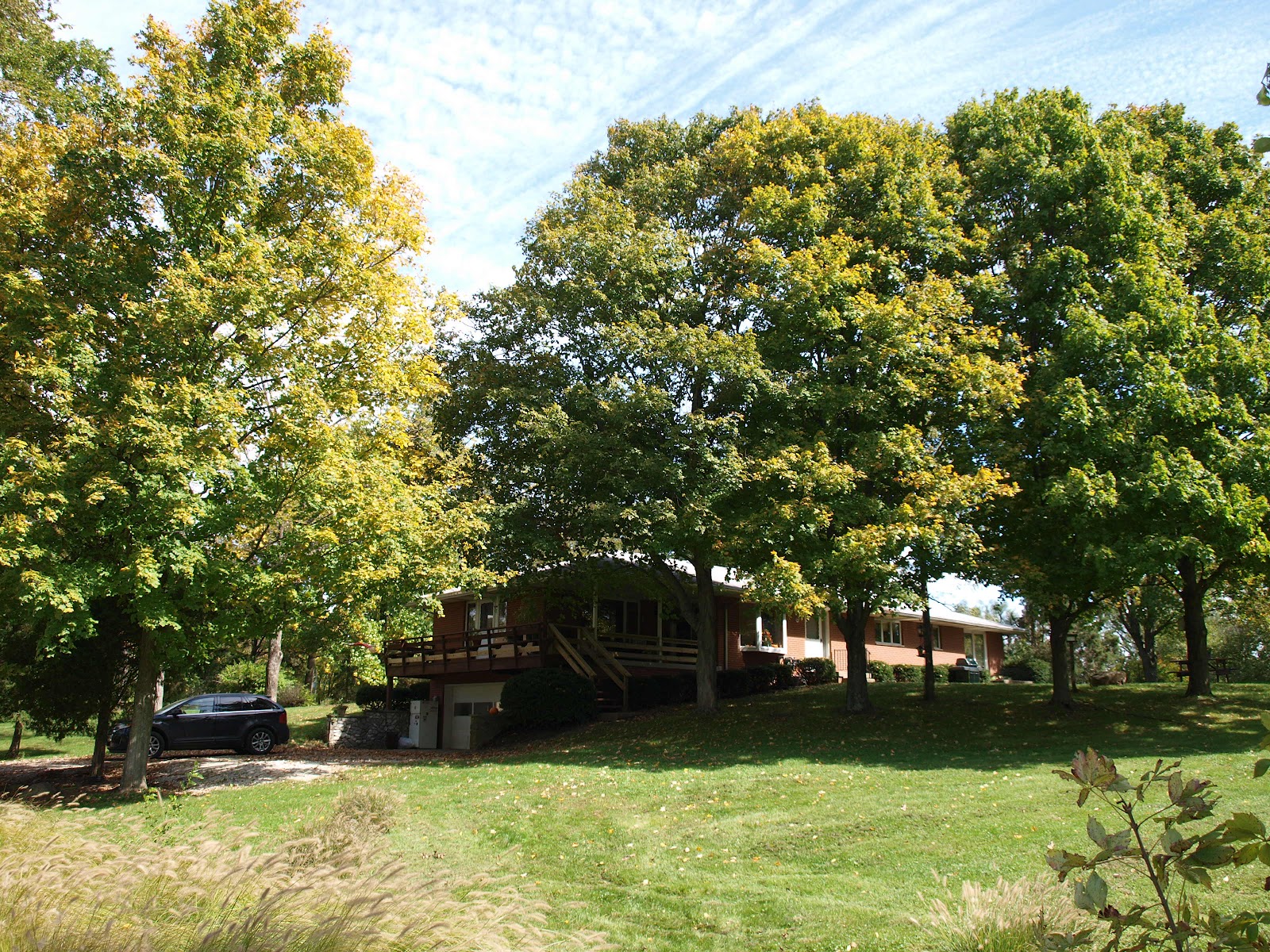 Ohio Thoughts Sugaring or Tapping Maple Trees