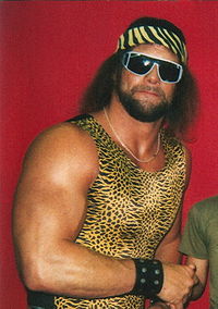 Randy+savage+car+accident+pictures