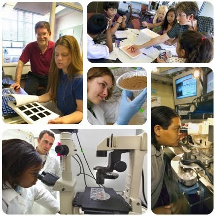 estudios con mas salidas dominicas xix 211 n eso y bachillerato carreras con m 193 s estudios con mas salidas dominicas xix 211 n eso y bachillerato carreras con m 193 s